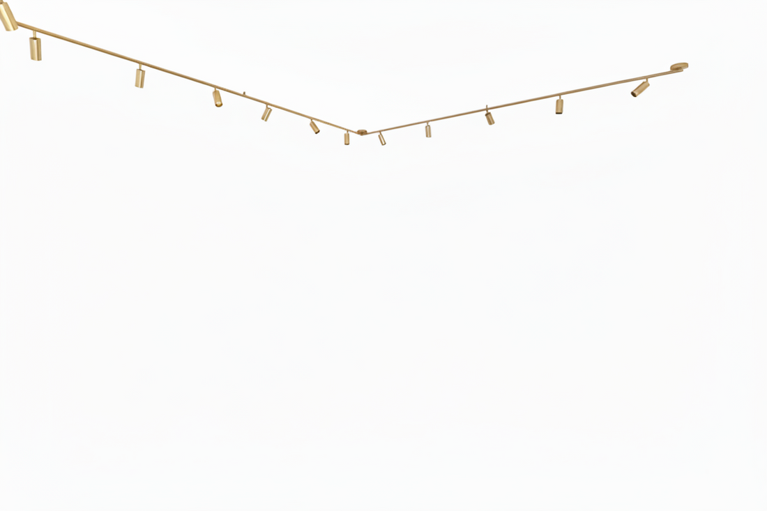 צילום: תמר גורדון